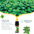 Essences Bulgaria Organic Mint Essential Oil - 1/3 Fl Oz (10ml) - 100% Pure & Natural Therapeutic Grade