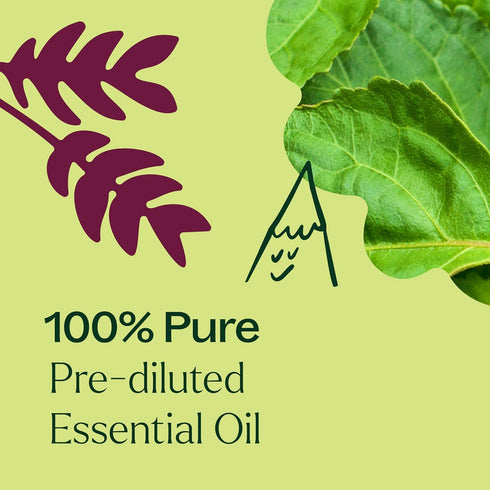 Plant Therapy Patchouli Essential Oil 100% Pure, Therapeutic Grade, Pre-Diluted Roll-On, 10 mL (1/3 oz)