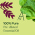 Plant Therapy Patchouli Essential Oil 100% Pure, Therapeutic Grade, Pre-Diluted Roll-On, 10 mL (1/3 oz)