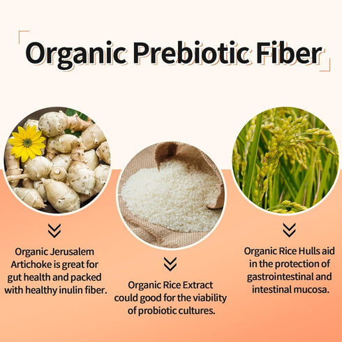 300 Billion CFU Probiotics - Probiotics for Women and Men, 12 Strains Plus Prebiotic for Immune & Digestive Health
