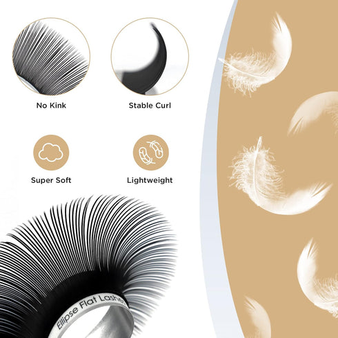 LASHVIEW Ellipse Flat Eyelash Extension Supplies, 0.15mm D Curl Mixed Length, Professional Salon Use