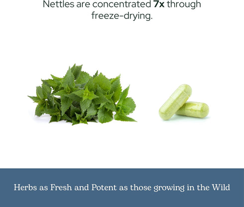 Eclectic Herb Nettle Quercetin Capsules, Non-GMO, Vegan, 90 CT