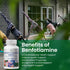 Benfotiamine 600mg Supplement - 120 Veggie Capsules for Max Boost Bioavailable Thiamine B1 Levels