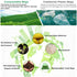 WADNGXM 2 7.5 100 Counts Gallon Compostable Trash Bags Small Biodegradable Garbage Bags Liters Wastebasket Trash Liners