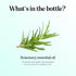 Pure Rosemary Oil for Hair Care - Volumizing Aromatherapy Essential Oil for Diffuser and Hair Skin Care