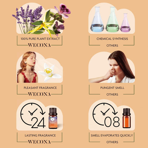 Fall Essential Oils Set, Pure Plant Extracts for Diffusers, Includes Citrus Burst, Freshness, Cozy Reunion, Leaf Aroma