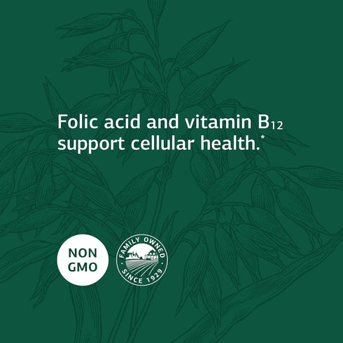 Standard Process Folic Acid B12 - 180 Tablets