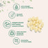Micro Ingredients Vitamin K2 MK-7 Supplement - 200 mcg Per Serving, 300 Coconut Oil Softgels for Immune Support
