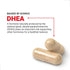 FORCE FACTOR DHEA 25mg Supplement for Women and Men, Supports Hormone Balance and Healthy Mood, 100 Veg Capsules
