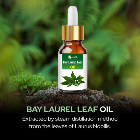 Salvia Bay Laurel Leaf Oil (Laurus Nobilis) - 100% Pure & Natural Undiluted Essential Oil, 30ml