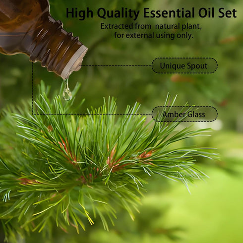 Set-Essential Essential Oils Oils- Perfect for Diffuser,Candle Making,Soap Making -Eucalyptus, Lavender,Cedarwood