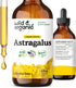 Wild & Organic Astragalus Root Extract Drops - Immune Support - Liquid