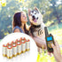 EBL 6 Volt 4LR44 Dog Collar Batteries (10 Pack) 6V Alkaline Batteries 476A / PX28A / A544 / K28A