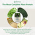 PlantFusion Complete Vegan Protein Powder - Vanilla Bean 2 lb - Plant Based with BCAAs and Digestive Enzymes