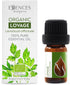 Essences Bulgaria Organic Lovage Essential Oil - 1/6 Fl Oz, 100% Pure and Natural, Therapeutic Grade