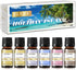 Holiday Island Fragrance Oil Gift Set of 6, Summer Essential Oils for Humidifier, Aromatherapy - 10ml