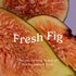 Niches & Nooks 7 oz Gentle Nooks Cleanser Fresh Fig pH Balanced Feminine Wash, Intimate Cleanser for Women, Lightly