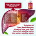 VVNaturals Sugar-Free 26-in-1 Liver Cleanse Detox & Repair Fatty Liver Formula Gummies; 3000mg Blend of Glutathione, Silymarin Milk Thistle, Choline, TUDCA | Liver Detox Gummies - 60 Vegan Ct