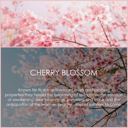 Cherry Blossom Essential Oil 120ml - Pure & Natural Fragrance Oils for Diffuser, Massage, Candle Making