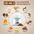 Pureverve Organic10 30 Mushroom Coffee, Mushroom Extract Powder Blend Lion's Mane, Reishi, Chaga, Cordyceps, Turkey