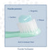 Pack 3 PRO-SYS Mint Fluoride Toothpaste Gel, ADA Approved, Prevents Cavities, Gingivitis, and Plaque
