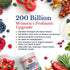 VITALITOWN Women’s Probiotics, 200 Billion CFUs 30 Strains, Vegan, Non-GMO, Digestive & Vaginal Support