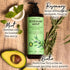 PHARM TO TABLE Rosemary & Mint Shampoo, 480ml