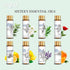 Set 100% 16 Pack 10ML Essential Oils with Independent Dropper, Natural Plant-Based, Therapeutic Grade for Family Use