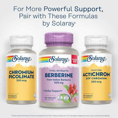 SOLARAY Berberine 500mg Supplement for Healthy Lifestyle, Vegan & Non-GMO, 100 Servings