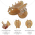 Sequin Mini Hair Clips - 12PCS No-Slip Grip Claw Barrettes for Thick Hair (1.18")