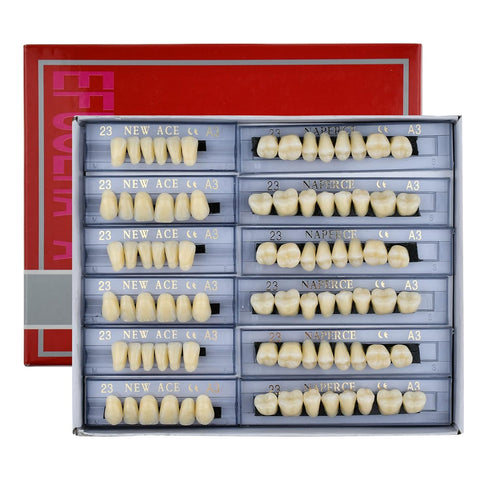 168 Pcs Dental Synthetic Resin Tooth Denture, 3 Sets False Teeth for Halloween Horror