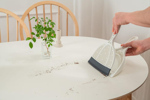 Broombi Silicone Handheld Brush & Dustpan Set, Ideal for Pet Hair Removal, Smooth Surface Squeegee Sweeper