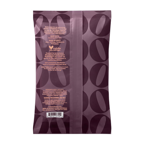 Niches & Nooks 45 pH Balanced Aloe Vera Feminine Flushable Wipes for Women with Sensitive Skin Soft Clementine Odor
