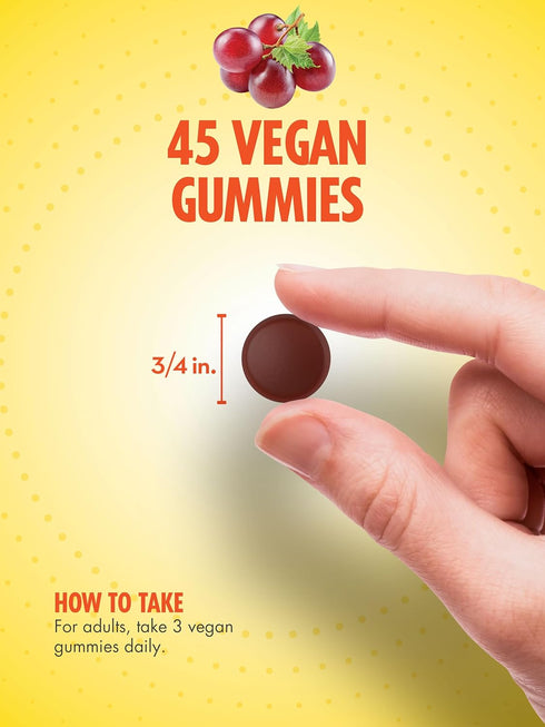 Sundance Iron Gummies, 45 Vegan Gummies, Plus B-Vitamins, Grape Flavor, Vegan, Non-GMO, Gluten Free Supplement