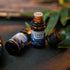 CAKKI Summer Essential Oils Set for Diffusers, 6X10ml with Coconut Passion, Plumeria, Pina Colada, Aqua Kiss