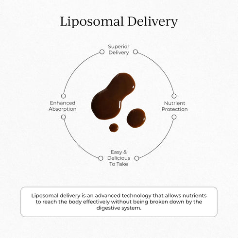 CYMBIOTIKA Liposomal Mushroom Supplement with Lion's Mane, Turkey Tail, B-Vitamins, 30 Pack Chocolate Fudge