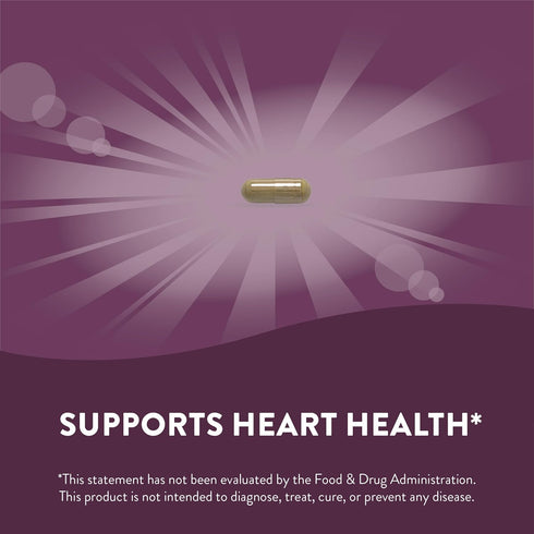 Nature's Way Premium Extract Olive Leaf Supplement, Supports Heart Health*, 250mg Per Serving, 60 Capsules