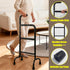 HeywoodCabin 2-in-1 300lb Adjustable Stand Assist for Elderly - Standing Rail & Walking Cane with Anti-Slip Handle