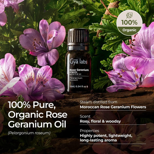 Gya Labs Organic Rose Geranium Essential Oil for Skin - Organic Geranium Oil for Diffuser & Aromatherapy (0.34 fl oz)