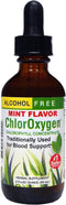 Herbs Etc. ChlorOxygen Chlorophyll Concentrate, Mint, 2 fl oz, Energy Support