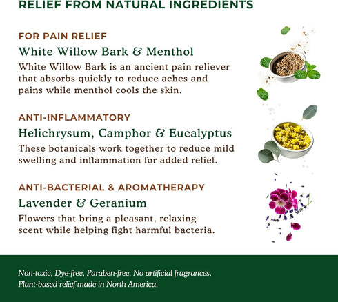 Nature's Willow Fast-Acting Willow Balm, Natural Pain Relief Cream for Sore Muscles & Joint Pain, 3-Pack