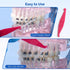 JMU Clear Orthodontic Elastics 3/8 Medium, 300 Pack Latex Free Dental Rubber Bands Made in USA