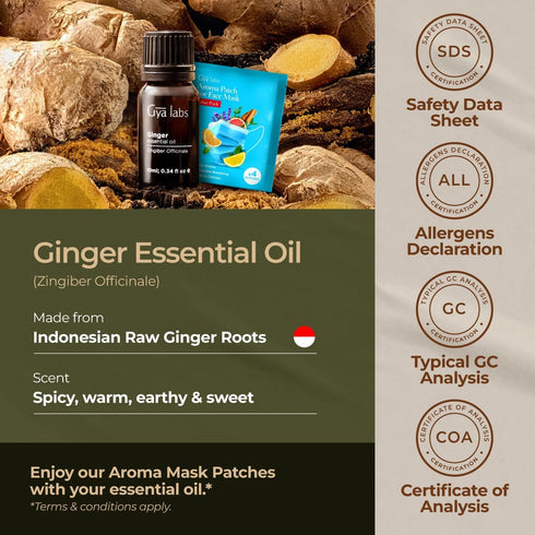Gya Labs Ginger Essential Oil, 0.34 Fl Oz, for Massage, Diffuser, Hair, Skin, Body & Candle Making, Warming Scent