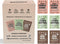 Renude Variety Pack - Mushroom Matcha, Coffee & Hot Chocolate, Cacao Powder,