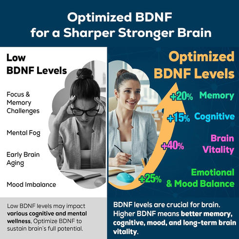 Quorinthiumax 60 Nootropic Brain Supplement for Memory and Focus BDNF Optimizer Cognitive, Mental Clarity & Mood High