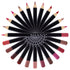 SHANY Dreamy Dozen Matte Lip Liner Set, Vegan Long-Lasting Professional Velvet Pencils, Pack of 12