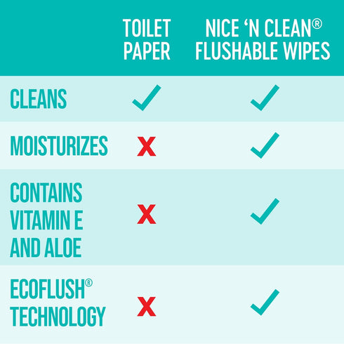 Nice 'N Clean Adult Flushable Wipes (3 x 60 Count) | Plant-Based Personal Cleansing Wipes with Aloe & Vitamin E