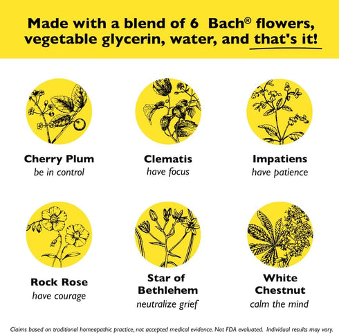 Bach RESCUE SLEEP KIDS Dropper 10mL - Natural Sleep & Stress Relief Aid, Homeopathic Flower Essence, Kid-Friendly