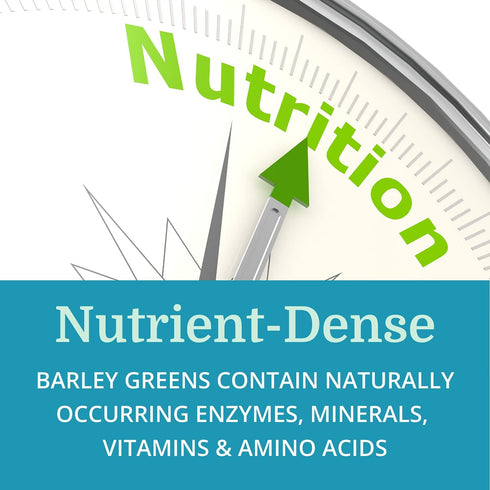 Alka•Green Tablets Best Process Alkaline Organic Barley Grass Supplement, Natural Source of Enzymes & Amino Acids