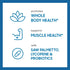Rainbow Light Multivitamin for Men 50+, Vitamin C, D & Zinc, Probiotics, High Potency Immune Support, Non-GMO, 150